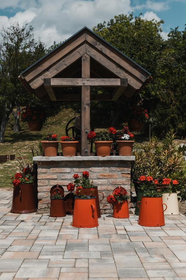 Dreko Panzio & Borbisztro Bed & Breakfast Győrújbarát Eksteriør bilde