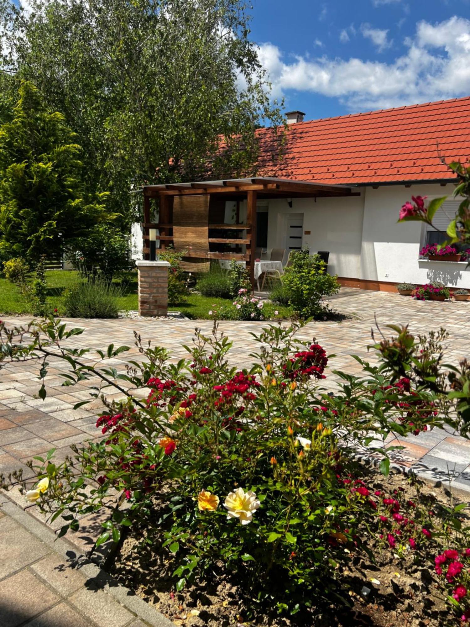 Dreko Panzio & Borbisztro Bed & Breakfast Győrújbarát Eksteriør bilde